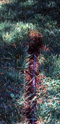 Grassy Trench